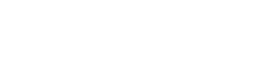 light logo